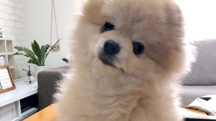☆桃の節句☆