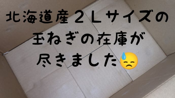 北海道産玉ねぎ2Lサイズの在庫が尽きました