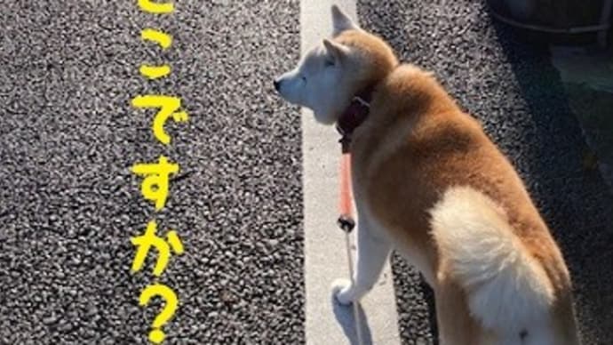湯楽の里 伊勢崎店 ♨