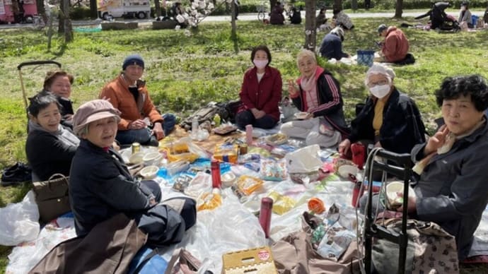 ♪ やっぱりね! 絵に描いたような「金つなぎ晴れ」に恵まれた、大阪観桜会だった