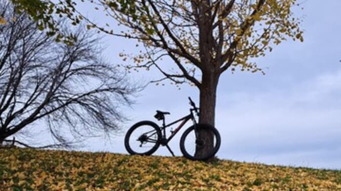 雨降る前にMTB散歩
