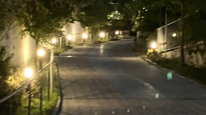 日暮の散歩