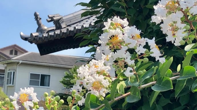 お盆も、、