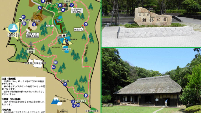 緑深い谷戸に広がる藤沢のオアシス「新林公園」!!