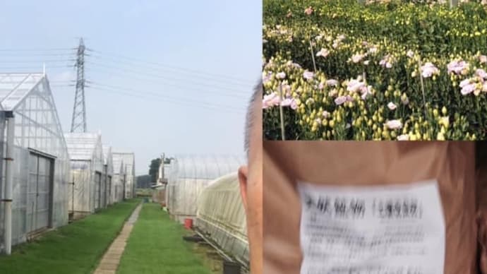 芳賀大根田様から