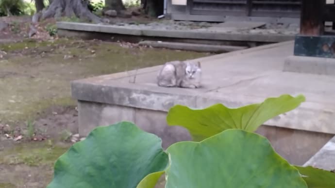 心を病む最大の原因は