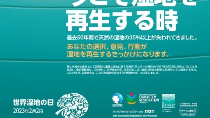 ヒヨドリとツグミの群れ