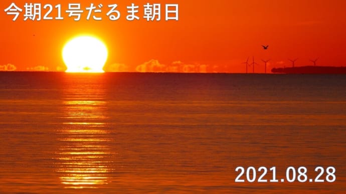 達磨太陽（朝陽）　2021年だるま朝日21号　弓ヶ浜海岸より