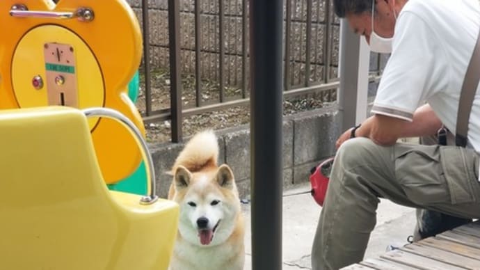 ママに会いに来たクリン