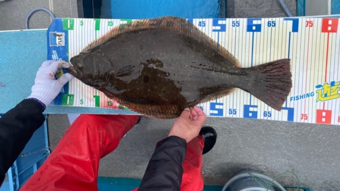 29日・釣果