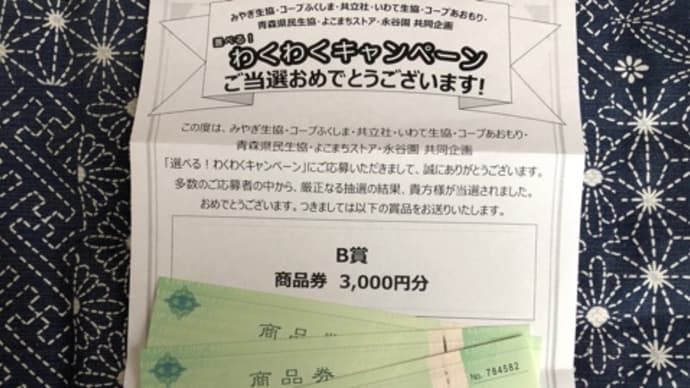 妹宅へのお届け物　パート３