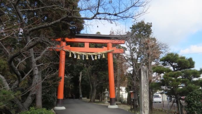 廣瀬神社のタチバナ