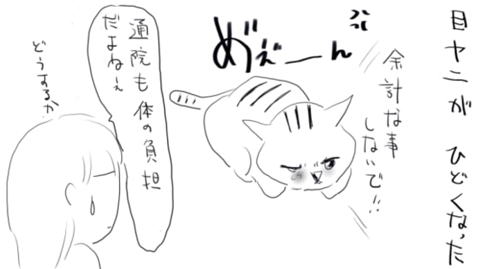 お目目