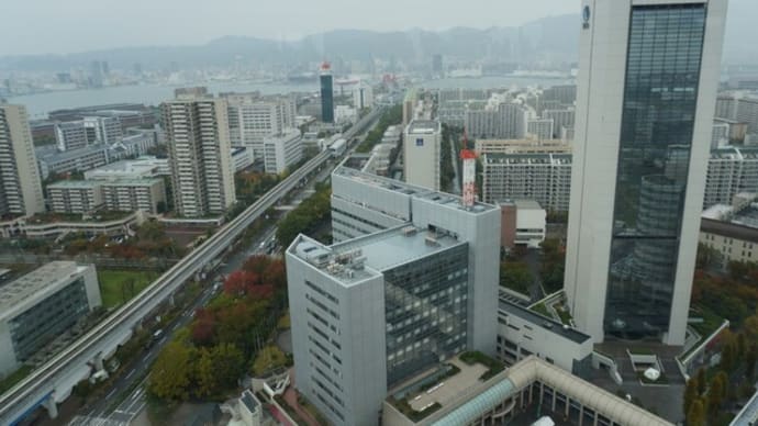 神戸の若さと熱気