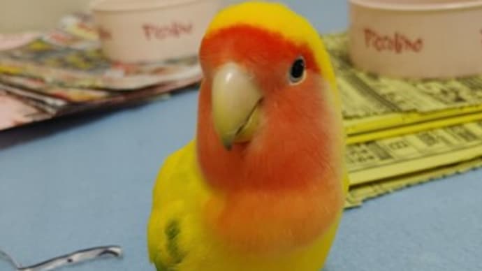 メチャ ビックリした 心臓バクバク