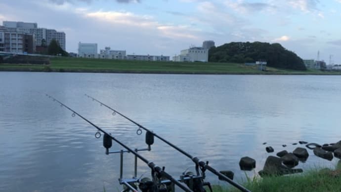 10月17日の鯉釣り