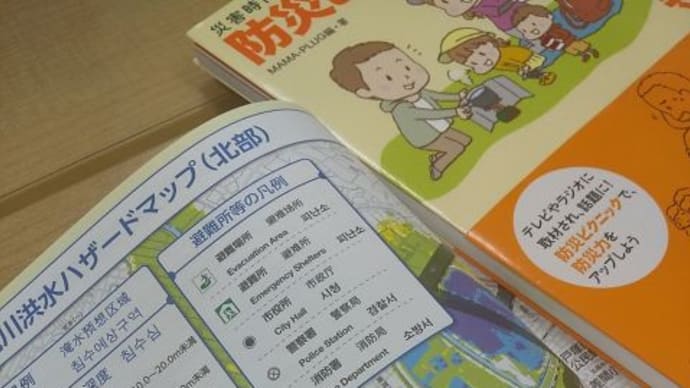 「川口市民大学(根岸公民館)」の連続講座、今週で最後の回です