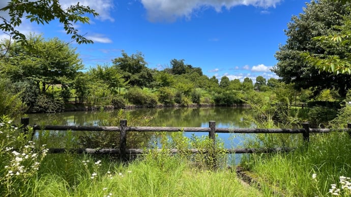 ぎふ清流里山公園(旧昭和村)