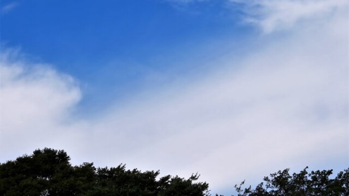 快晴の日曜日。でも明日は、また雨かな?