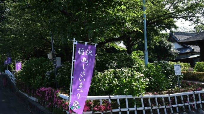 第33回稲沢あじさいまつり（２）