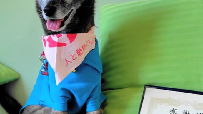 セラピー犬 引退鈴に 感謝状
