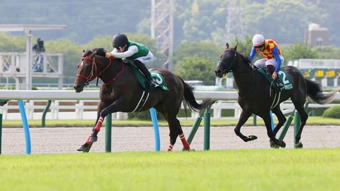 【予想】 第60回 小倉記念 G3