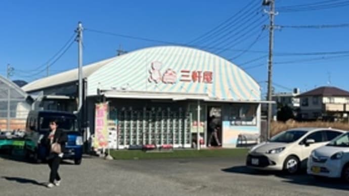 こんなの買いました(イチゴ)