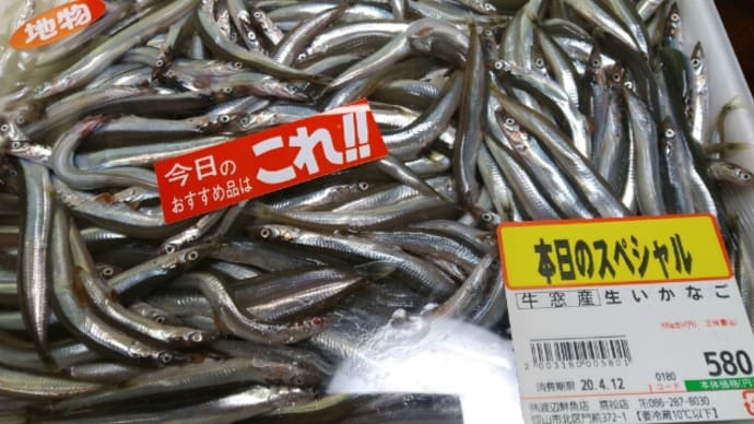 いかなごのくぎ煮 ようちゃんばあば日記