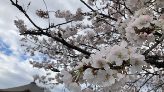 4月1日 -2023年-
