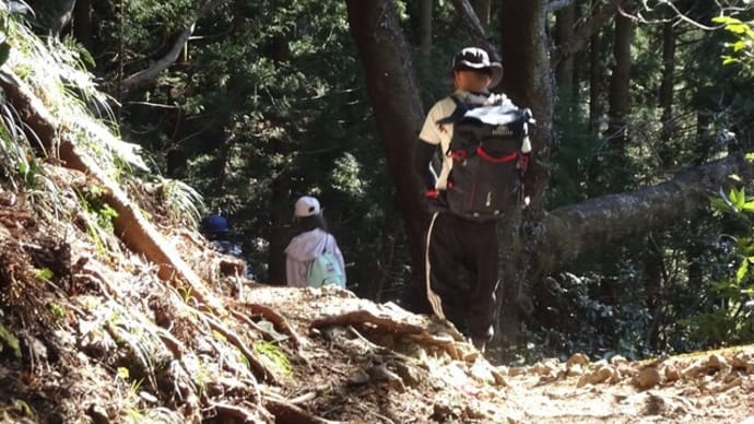 鞍掛峠から満観峰 そして富士山