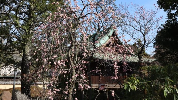 南東部公園コース 約7.5km