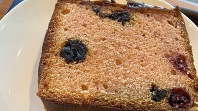 スターバックスでケーキを食べる~その23とセダムさん