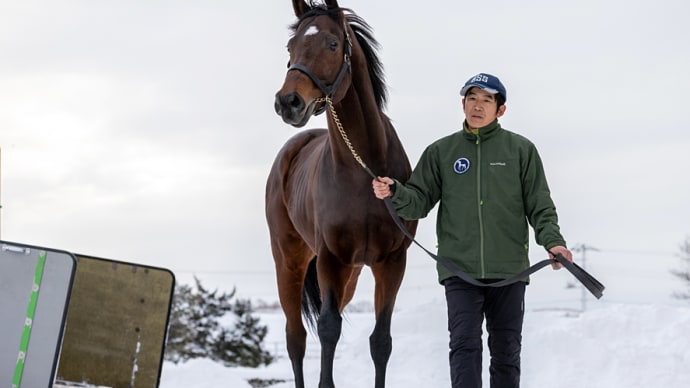 香港スプリントや高松宮記念など重賞8勝馬【ダノンスマッシュ(Danon Smash)】がスタッドイン