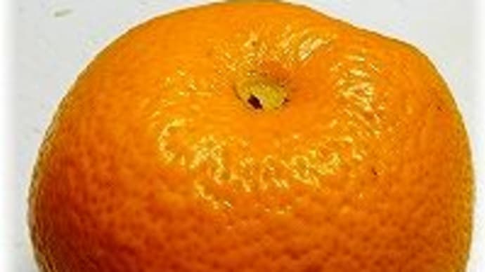 八朔
