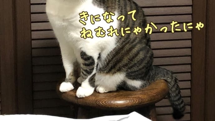 楽な方を選ぼうかな