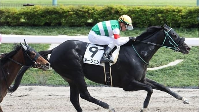 アージェントがJRA初勝利!