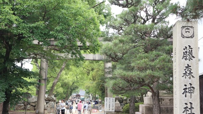 【京都幕間旅情】藤森神社-紫陽花祭,神功皇后三韓征伐戦勝記念し造営の社殿は子供たちの活気に包まれる