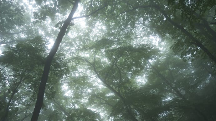 『恋愛の詩』のおもしろさ_霧と話した