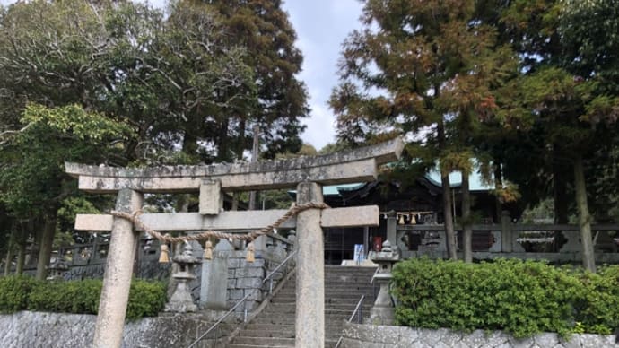 近所の神社にお参りに行ってきました。