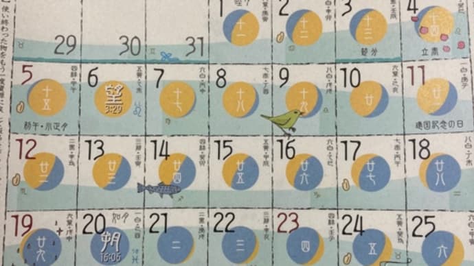 ◉2月の出没予定 2023◉