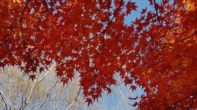 繰り返し訪れ振り返る場所、茨城県立歴史館