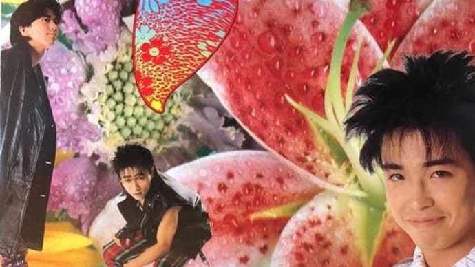 「UNICORN(ユニコーン) - Maybe Blue」80sの奥田民生のバンド!良き邦楽ロックを忘れない。