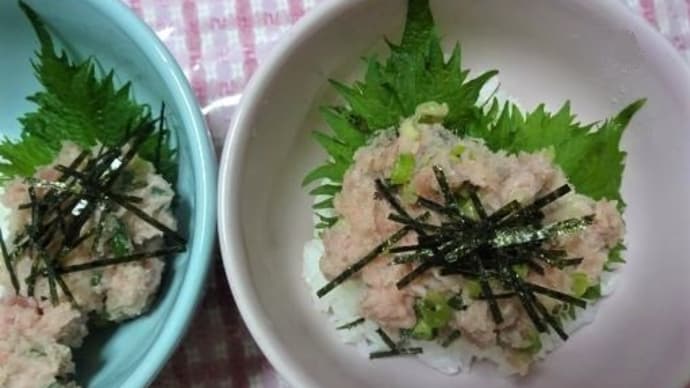 えっ!忘れてたの?ネギトロ丼
