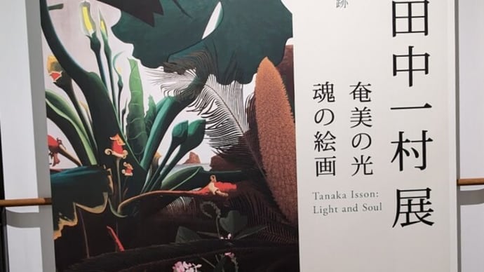 「田中一村展」に行きました。