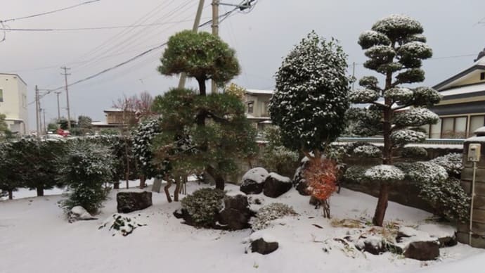 坪庭の雪景色