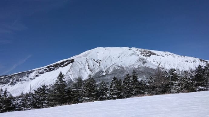 試乗日和