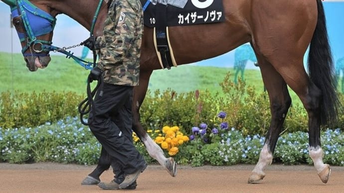 【カイザーノヴァ】テンションが落ち着き13日から再立上げ