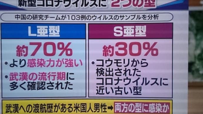 COVID19感染症傾向