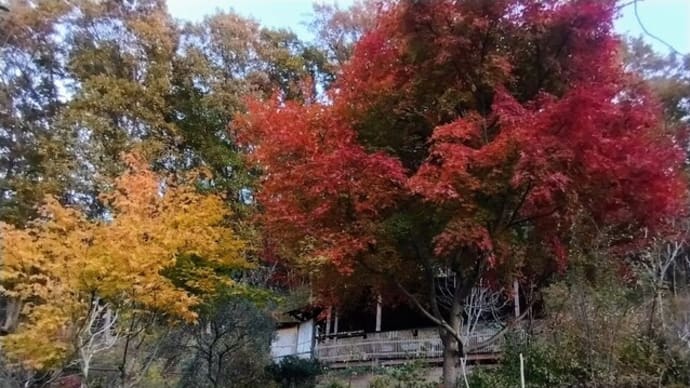 里山のちから 会員募集中