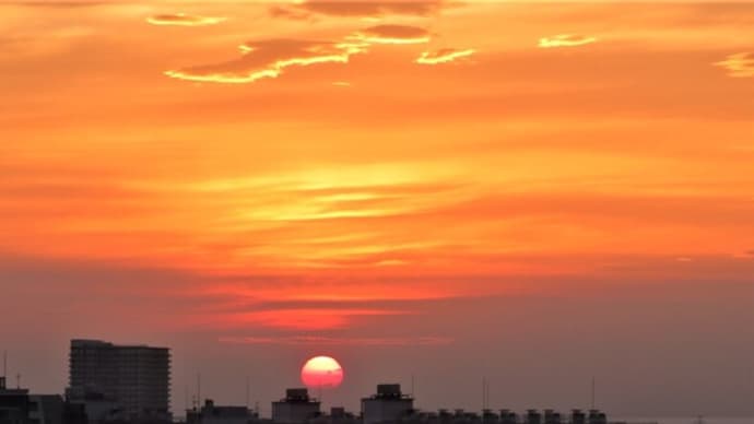 爽やか?、早朝散歩・ウオーキング